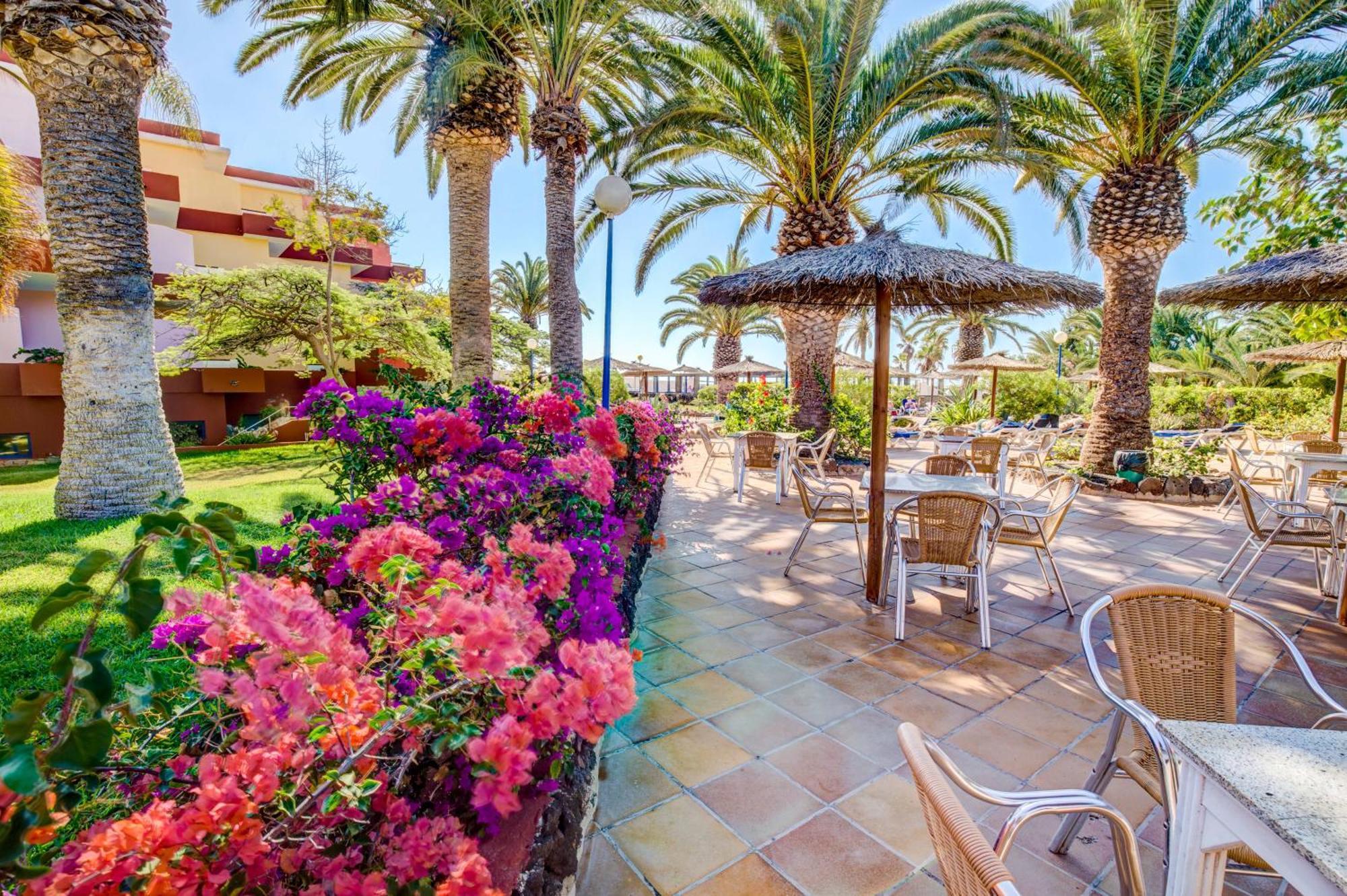 Отель Sbh Fuerteventura Playa (Adults Only) Коста Калма Экстерьер фото